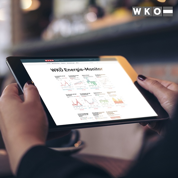 WKÖ Energie-Monitor